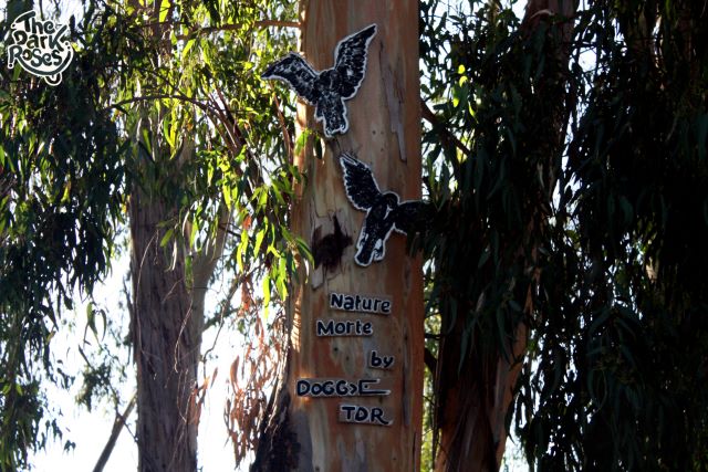 Theme: ★ Nature Morte ★ by DoggieDoe and Motus - The Dark Roses - Fethiye, Türkiye 27. September 2012